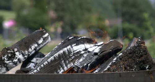 Burning Logs in Outdoor Fire Pit