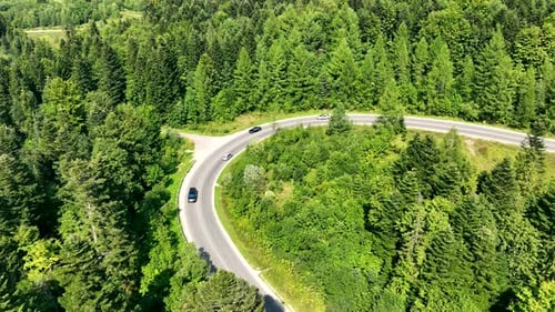 Aerial View Motorway and Cars Driving in the Forest
