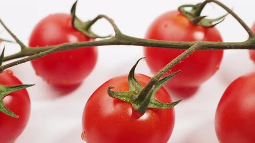 Bunch of fresh red tomatoes with green stems isolated on white background.