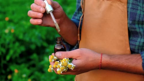 Man with Medicinal Herbal Extracts in His Hands Selective Focus