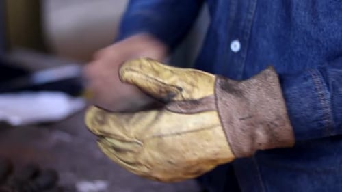 Adult Puts on Worn Work Gloves Indoors
