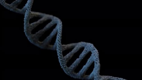 Rotating 3D DNA Double Helix for Science and Medical Projects