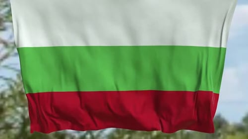 Waving Flag Animation with Realistic Fabric Physics