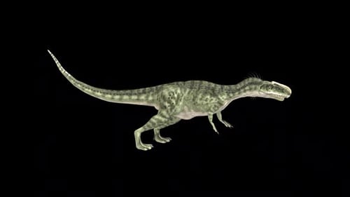 3D Allosaurus Dinosaur Walking Animation Loop