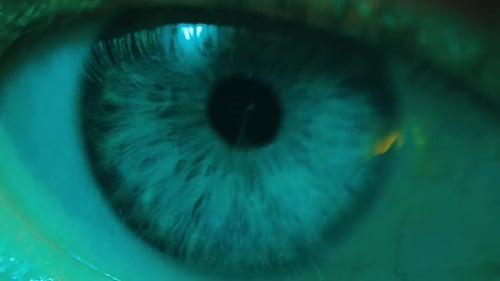 A Detailed Closeup Image Showcasing a Mesmerizing Eye Under Captivating Green Lighting