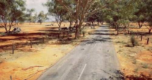 Dusty Country Road Surrounded By Dry Vegetation and Trees in Australia