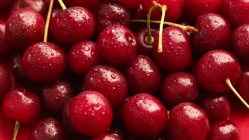 Many ripe cherries with water drops, spinning