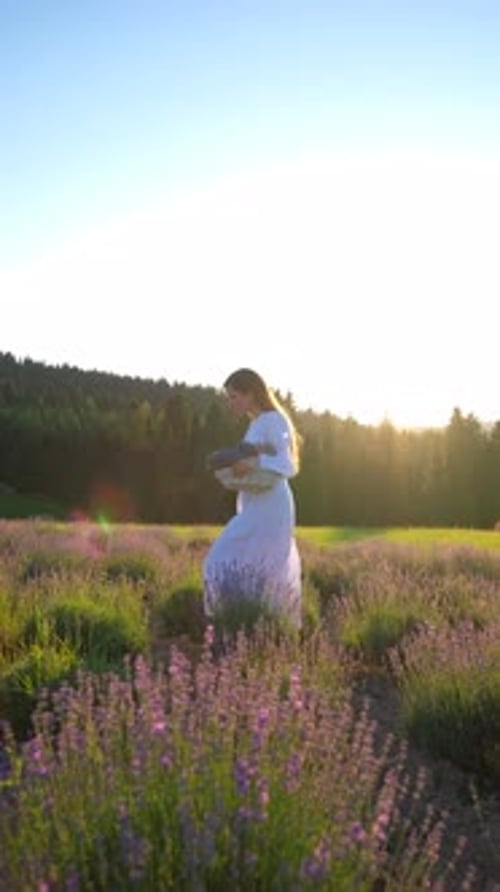 Beautiful young girl in a white dress walks through a lavender field at sunset