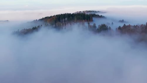 Aerial view of forest hill where the fog flows by in front