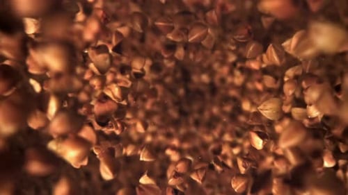 Buckwheat Falls Down Filmed From Above Filmed on a Highspeed Camera at 1000 Fps