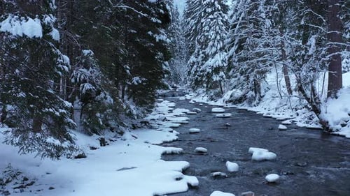 Slow motion along a beautiful mountain winter forest stream.
