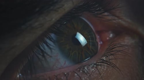 Extreme Close-up of a Detailed Human Eye