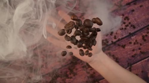 Hand Holds Roasted Coffee Beans with Smoke
