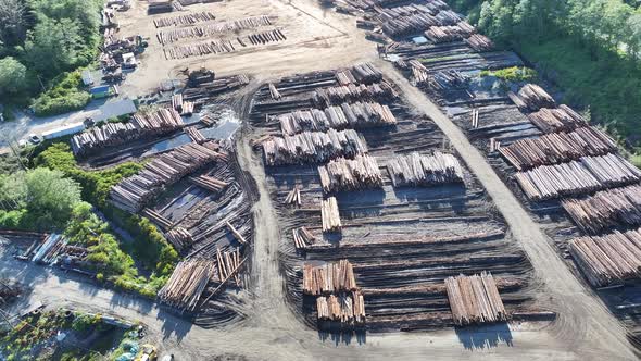 Aerial video of logging yard and machinery in British Columbia, Canada ...