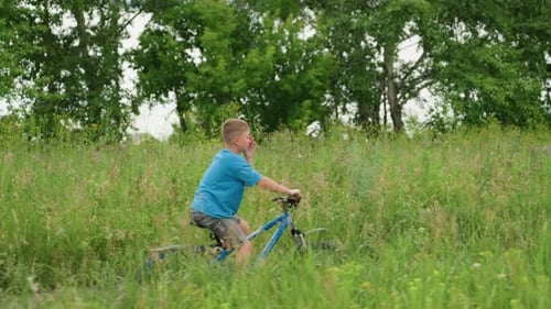 Boy Discovering Colorful Blooming Trail Young Boy Embarks on Lively Flowerfilled Path Adventurous