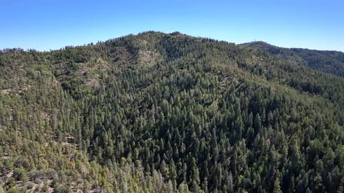 Aerial view of mountains covered with trees, United States.