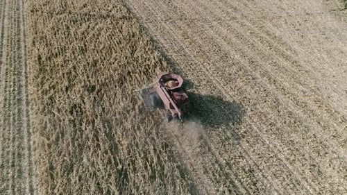 Combine Harvesting Corn in Rural Farm Field Aerial View
