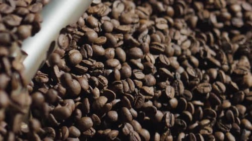 Close up of Coffee Beans Being Stirred