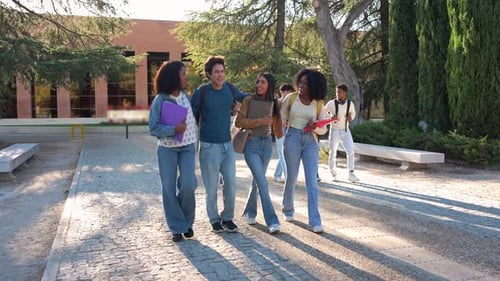 Multiracial Group of Young Cheerful Students Walking on University Campus