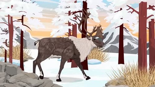 Reindeer Walking In Snowy Forest - Christmas Nature Animation - Winter Wildlife