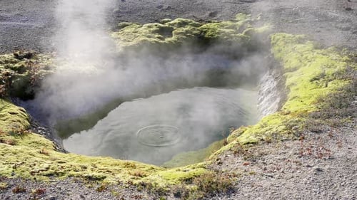 Slow Bubbling Hot Spring in Yellowstone National Park