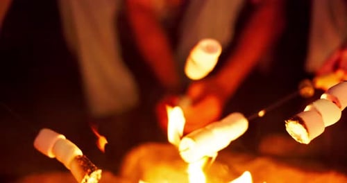 People, camping and smores on roast by bonfire with talking, travel adventure and holiday at night