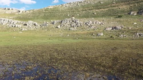 Vue aérienne du lac couvert d'herbe verte, de mousse et de montagne