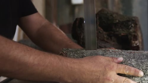 Person Saws Log with Hand Saw Close Up