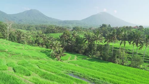 Awesome view of scenic rice terraces in Bali, Indonesia