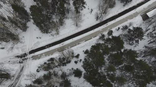 Pathway Lasts Along Dense Forest on Frosty Winter Day