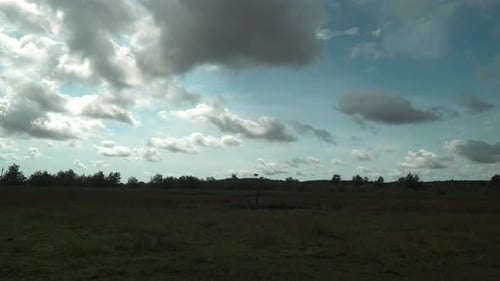Statische Filmmusik Zeitrafferaufnahme eines weiten Feldes mit Blick auf Bäume und vorbeiziehende Wolken auf einem Summ