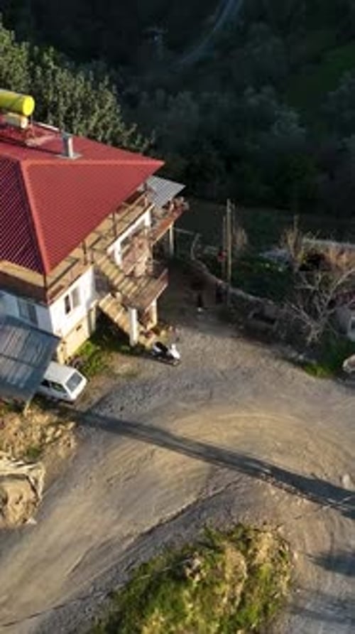 Vertical Video Green Oasis Aerial View of Farming Homes in a Mountain Village with Forest