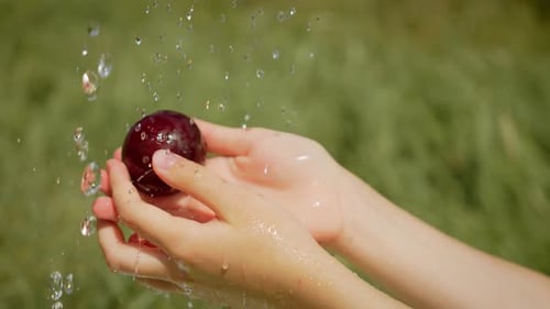 Child's Hands Washing a Plum Under Water