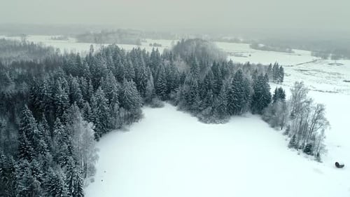 Snowy Ground With Cabin Near Lush Coniferous Forest At Winter. - aerial