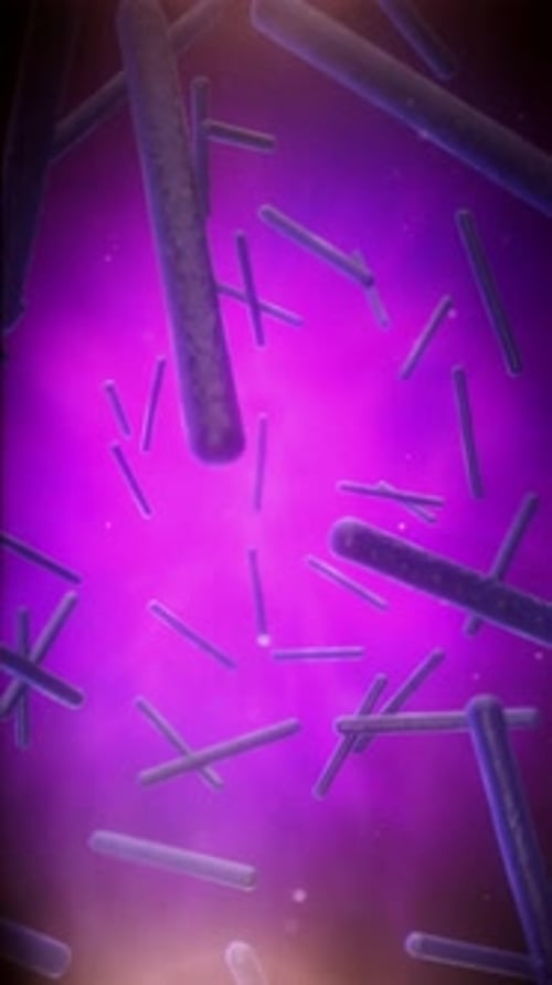 Microscopic Molecules
