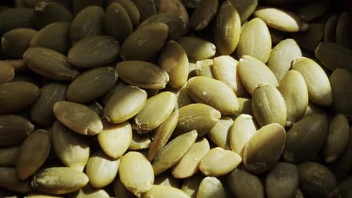Close up of Pumpkin Seeds