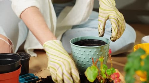 Woman Planting Flowers in a Light Blue Pot