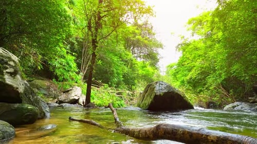 A breathtaking stream flows through a lush.