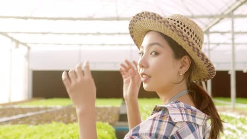 Young female farmer working in hydroponic greenhouse farm