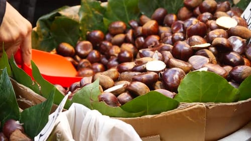 Explore the Fresh Chestnuts and Vibrant Autumn Leaves at the Bustling Marketplace Today