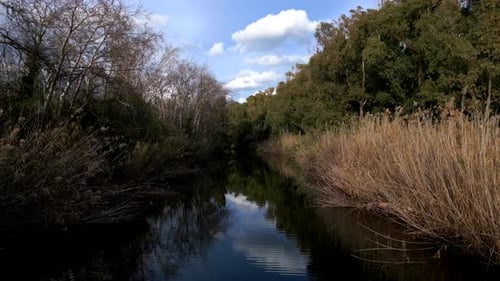 Niedriger DROHNENFLUG über einen FLUSS
