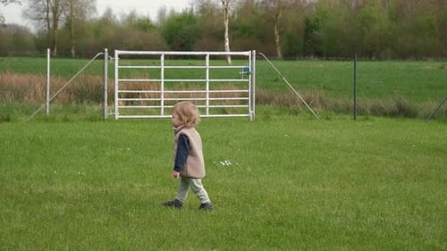 Playful Child Joyfully Exploring a Beautiful Green Pasture