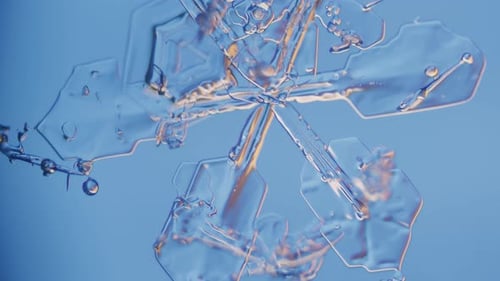 Weird shaped water crystals snowflakes under microscope double colored light filter