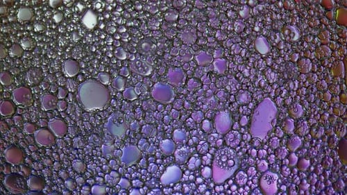 Abstract Colorful And Shiny Oil Bubbles Circles Background 07