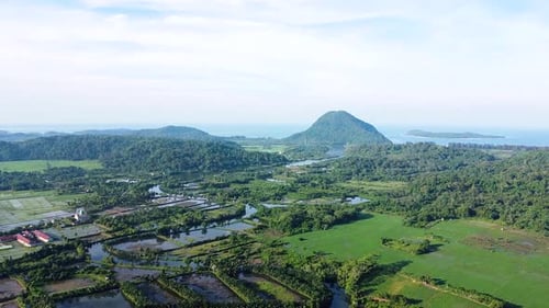 Belle vue sur la campagne bordant les rizières et la mer à Lamno Aceh Jaya