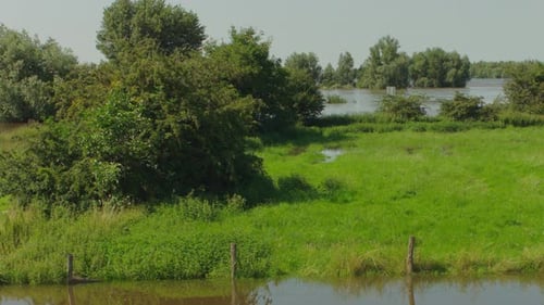 Scène du paysage inondé près de la rivière principale aux Pays-Bas, en Europe.