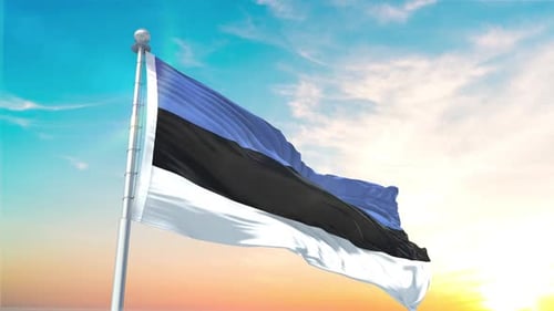 Estonia Flag Waving in Wind with Bright Sky Background