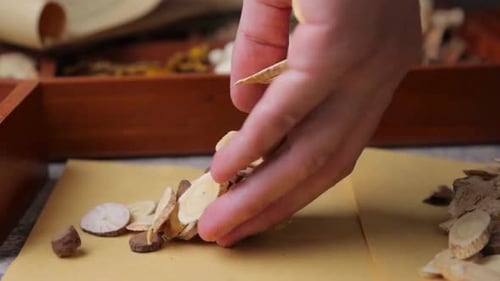 Hand Sorting Dried Herbs for Traditional Medicine Recipe