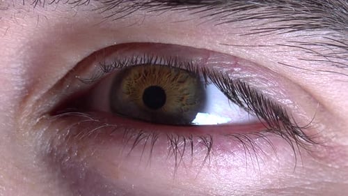 Die Augenpupille reagiert auf Licht