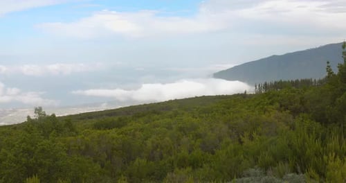 White Clouds Over Forested Mountains In Tenerife, Canary Islands, Spain. High Angle Shot